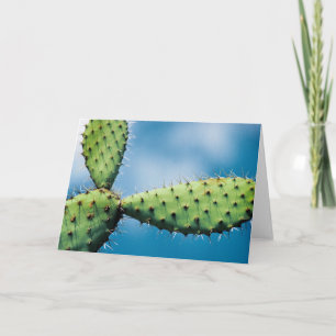 Carte Cactus de Prickley