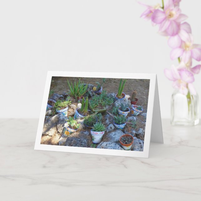 Carte Cactus et rockerie Plante Succulente (Orchidée)