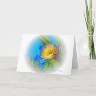 Carte "Cactus Flower #73 Fade"