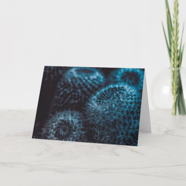 Carte Cactus foncé (Devant)