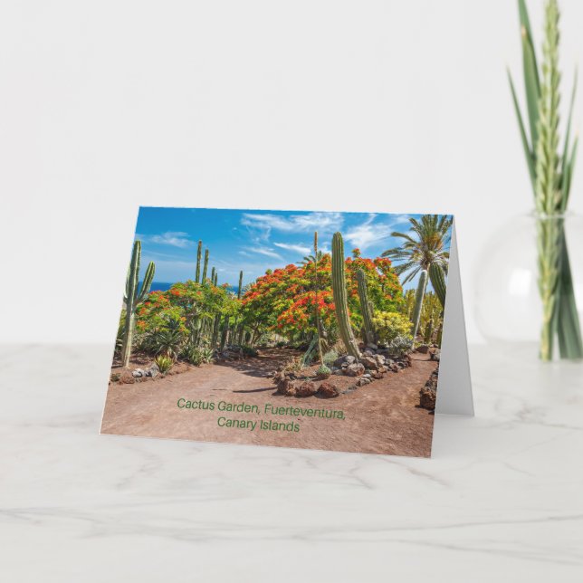 Carte Cactus Garen, Fuerteventura, Îles Canaries, (Devant)