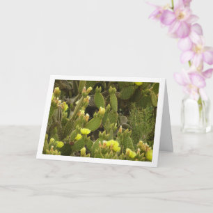 Carte Cactus oreilles de lapin en fleurs, Opuntia Microd