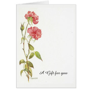Carte cadeau carnation rose