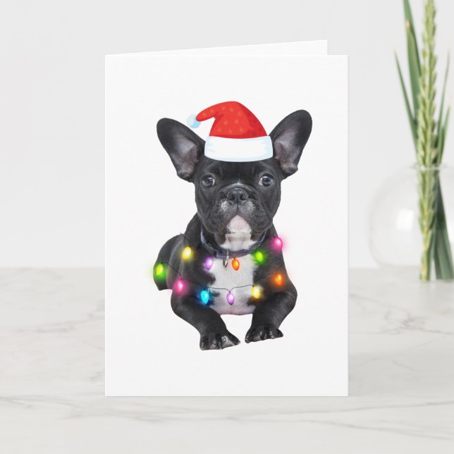 Carte cadeau de noël frenchies pour amateurs de bouledog (Devant)