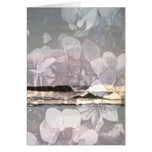 Carte Cadeau VenicBeach Orchid Surf