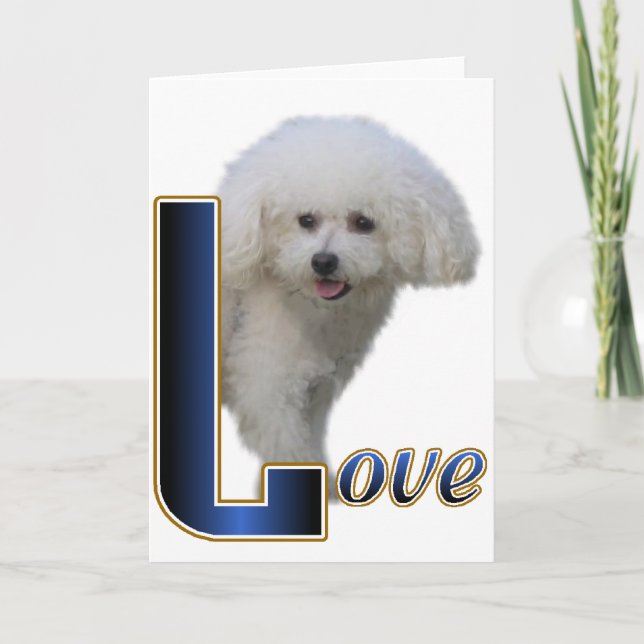 Carte Cadeaux Bichon Frise (Devant)