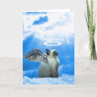 Cadeaux de chaton d'ange