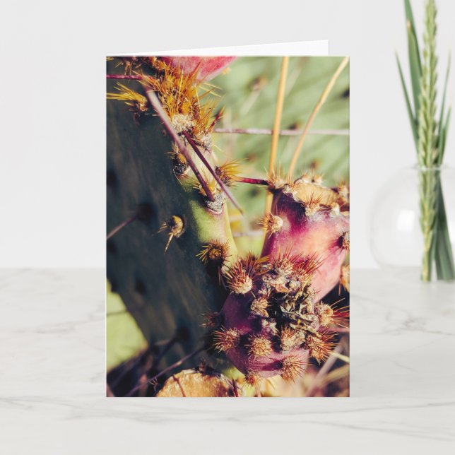 Carte Cadre de titre des textures SW (Devant)