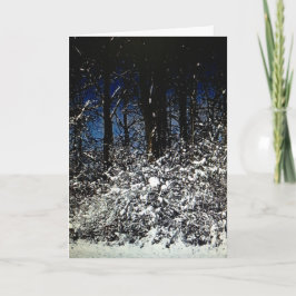 Carte cadre Sunny Snowy Christmas 5x7