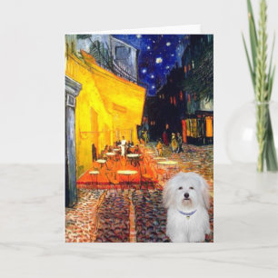 Carte Cafe - Coton de Tulear 4b