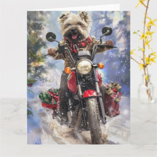 Carte Cairn Terrier Chien équitation Moto Noël