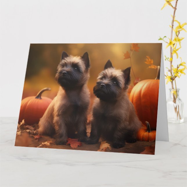 Carte Cairn Terrier Chiot Automne Citrouille de plaisir (Fleur jaune)