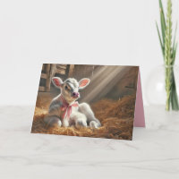 Calf Blanc Dans Un Stand De Grange Ensoleillé