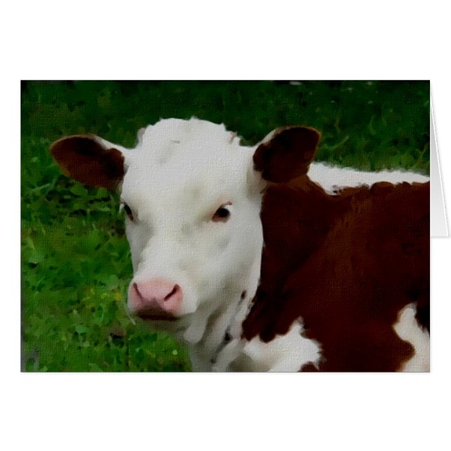 Carte Calf Repose (Devant horizontal)