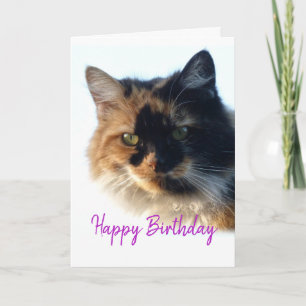 Carte Calico cat Anniversaire