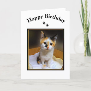 Carte Calico Kitten Joyeux anniversaire