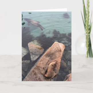 Carte california sea life greeting card (blank inside) 
