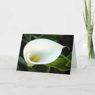 Carte Calla Lily