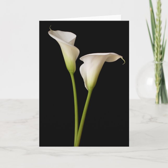 Carte Calla Lily (Devant)