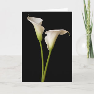 Carte Calla Lily