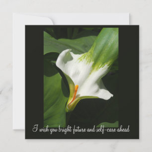 Carte Calla Lily, Zantedeschia
