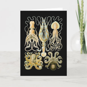 Carte Calmar et poulpe