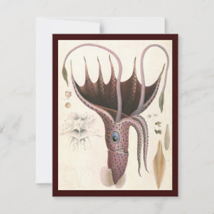 Carte Calmar parapluie, Animaux marins vintage