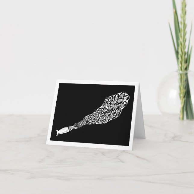 Carte Calmars (Devant)