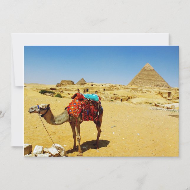 Carte Camel (Devant)
