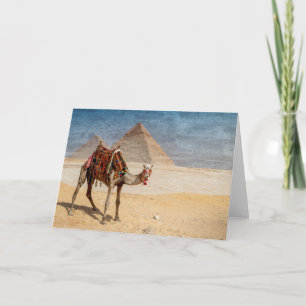 Carte Camel at the Pyramids