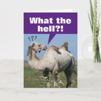 Camel Drôle Avec Droopy Humps Anniversaire