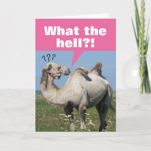 Carte Camel Drôle Avec Droopy Humps Anniversaire