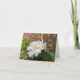 Carte Camélia (vierge)