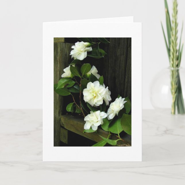 CARTE CAMÉLIAS (Devant)