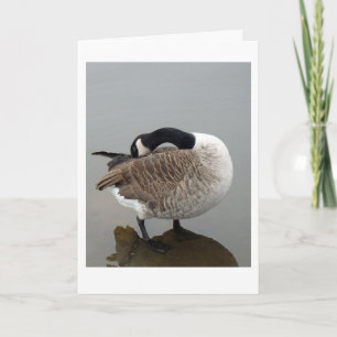 Carte canadienne d'oie