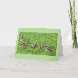 Carte Canard avec Canetons
