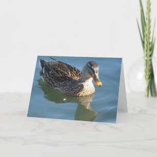 Carte Canard dans l'eau