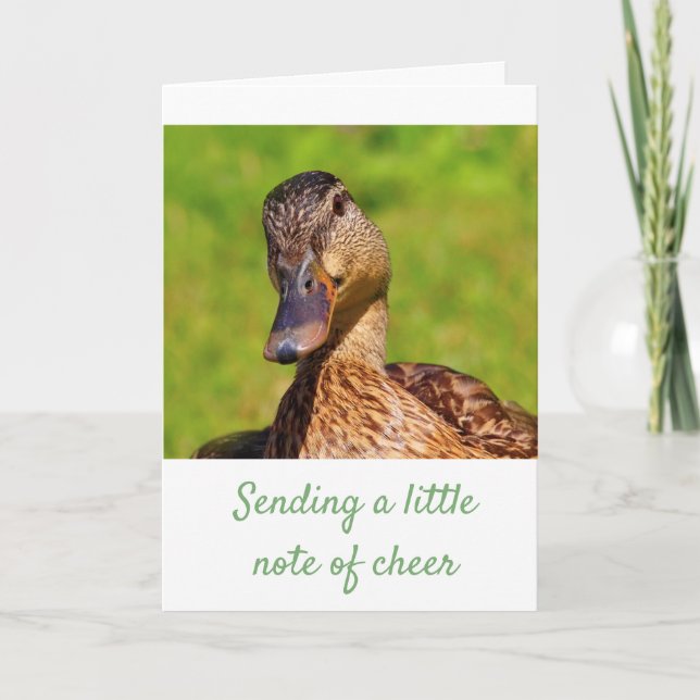 Carte Canard doux Mallard Se porte bien (Devant)