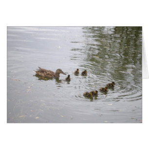 Carte Canard et canard
