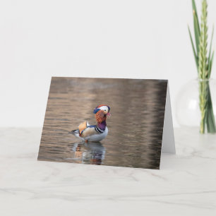 Carte Canard mandarin