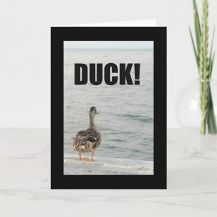 Carte Canard ! Un autre Anniversaire à droite pour vous!