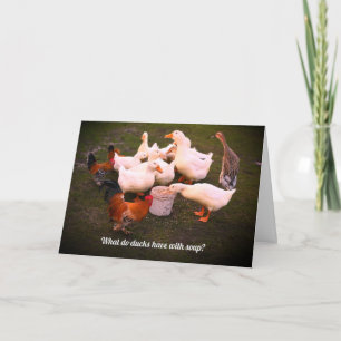 Carte Canards et poulets mangent un drôle d'anniversaire