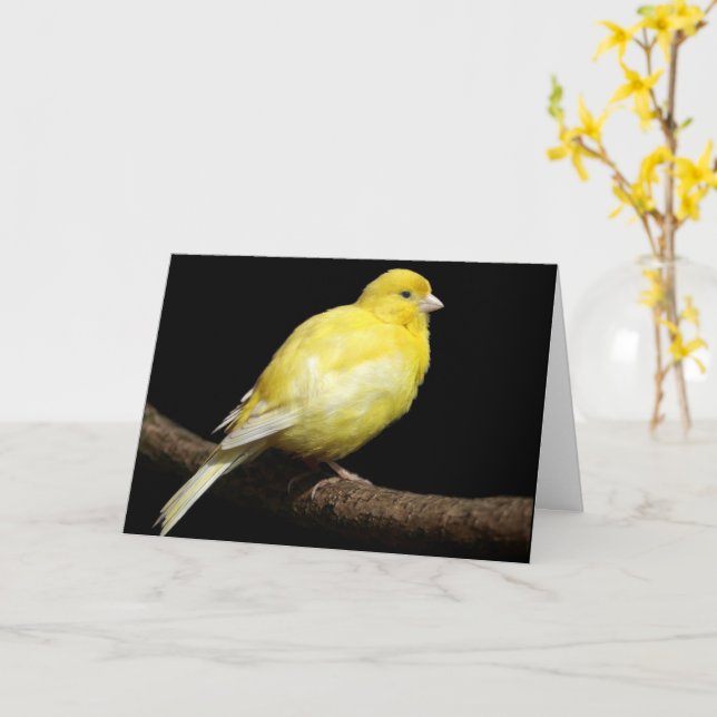 Carte Canari jaune personnalisé (Fleur jaune)