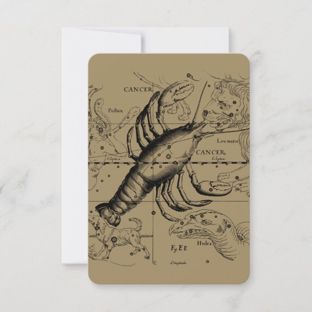 Carte Cancer Constellation Hevelius 1690 21 juin-22 juil (Devant)