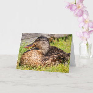 Carte Cancer Encouragement Canard-colard