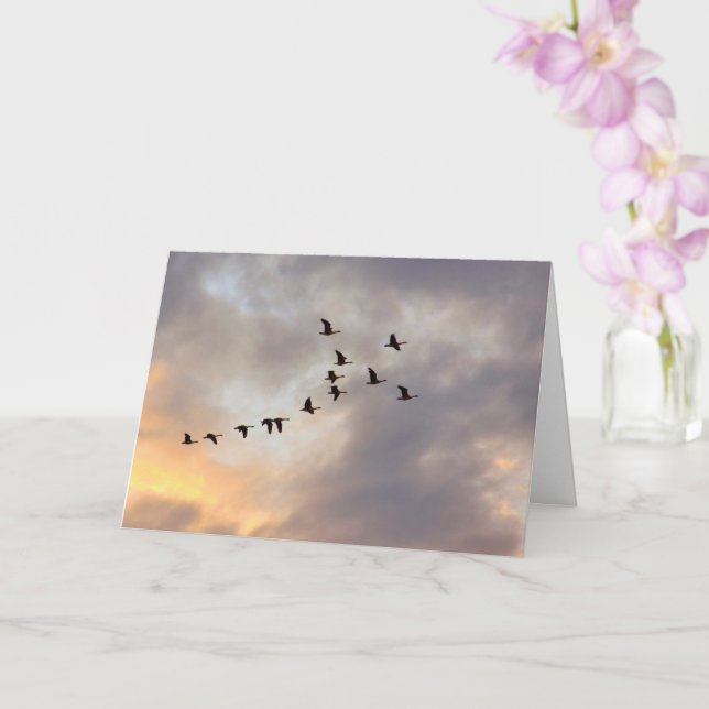 Carte Cancer, maladies graves oiseaux en vol (Orchidée)
