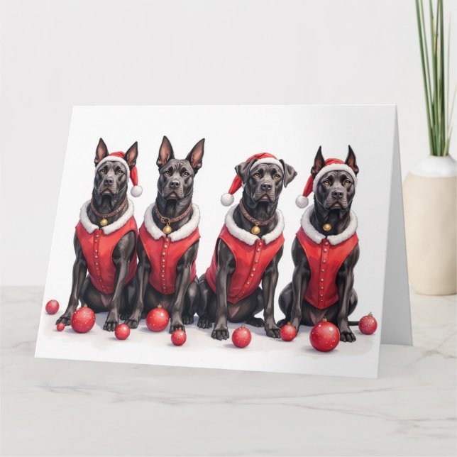 Carte Cane Corso Robe de Noël Chapeau de Père Noël (Devant)
