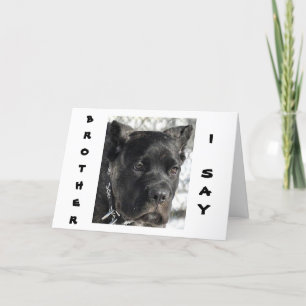 CARTE CANE CORSO VEUT CÉLÉBRER L'ANNIVERSAIRE DU FRÈRE