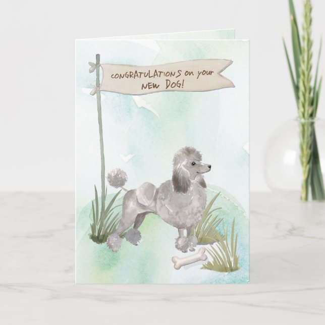Carte Caniche Gris Félicitations pour votre nouveau chie (Devant)