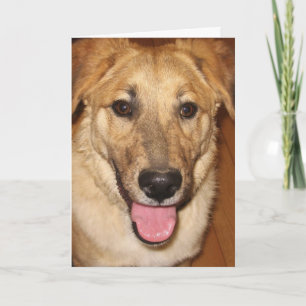 Carte Canine Vet Graduate Félicitations pour la Graduati
